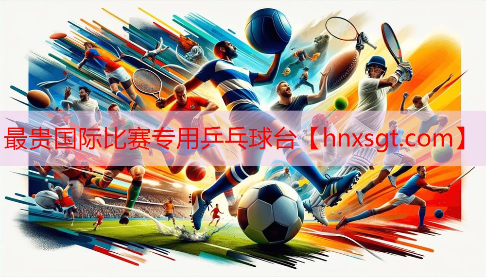 最贵国际比赛专用乒乓球台