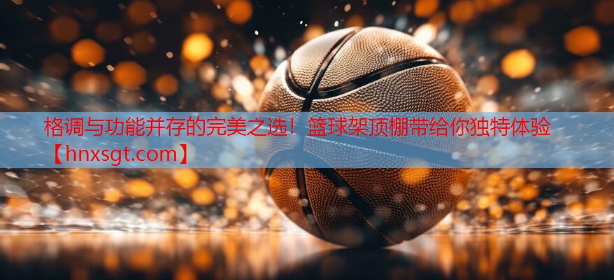 格调与功能并存的完美之选！篮球架顶棚带给你独特体验