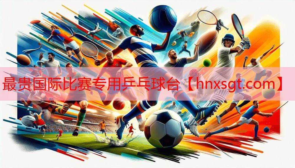 最贵国际比赛专用乒乓球台